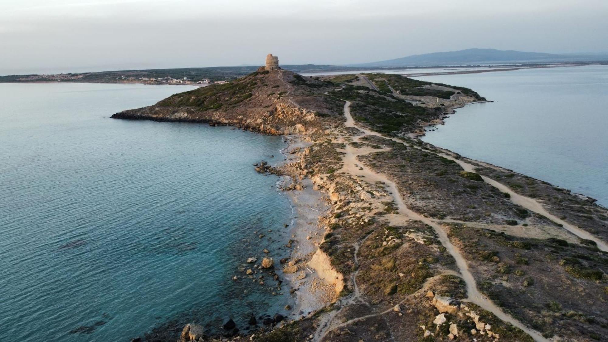 L'alga * Càbras